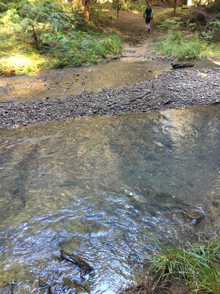 The stream at mile 14